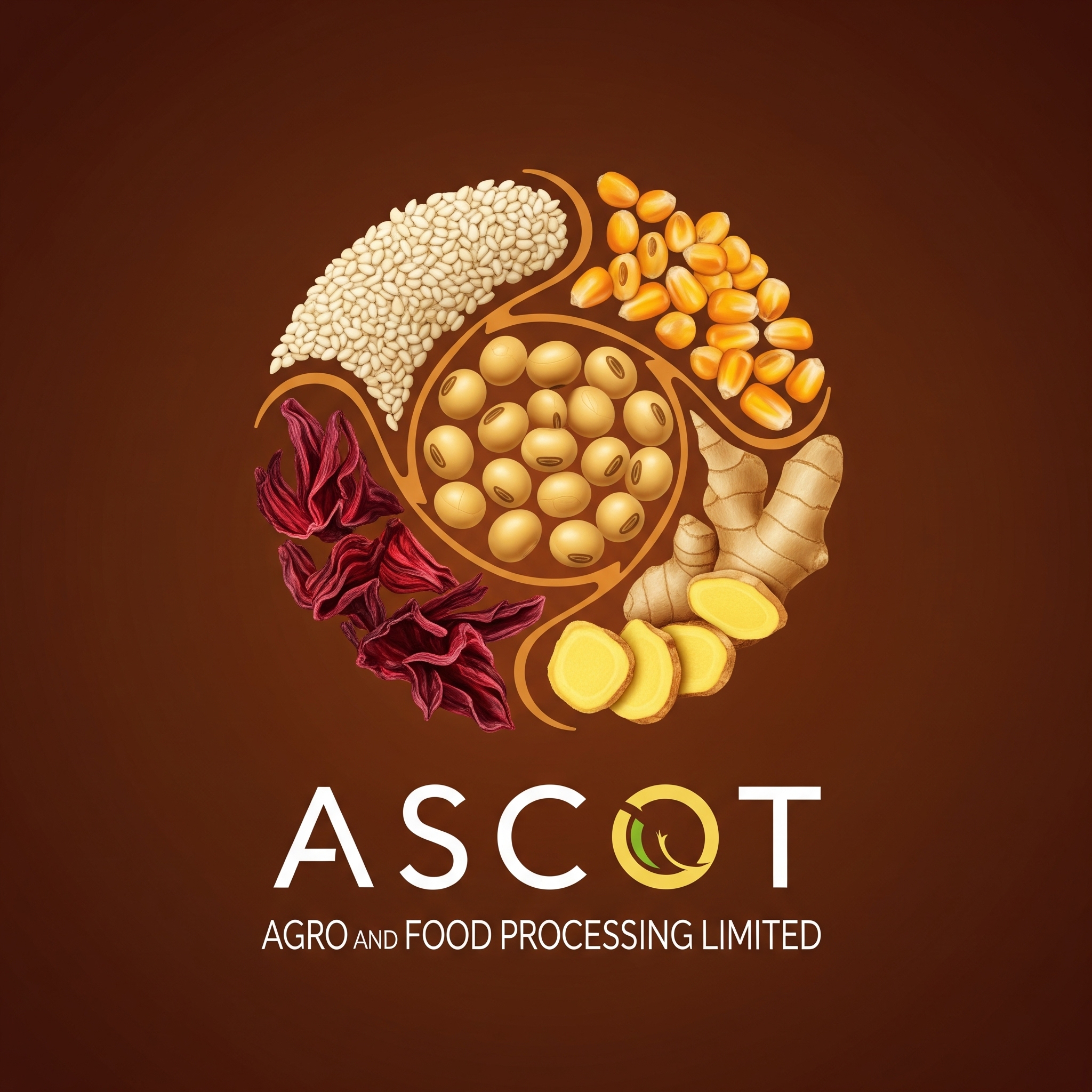 Ascot Agro and Food Processing Limited