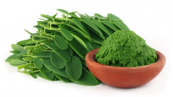 Moringa