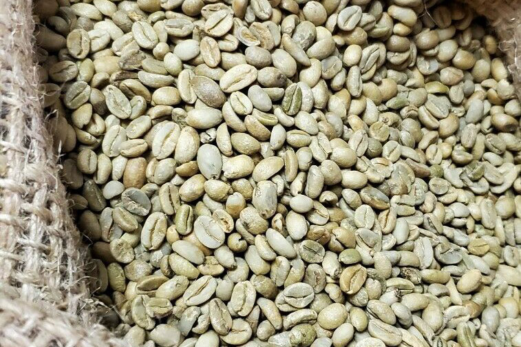 Natural Nekempti Coffee