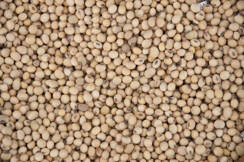 Soybeans